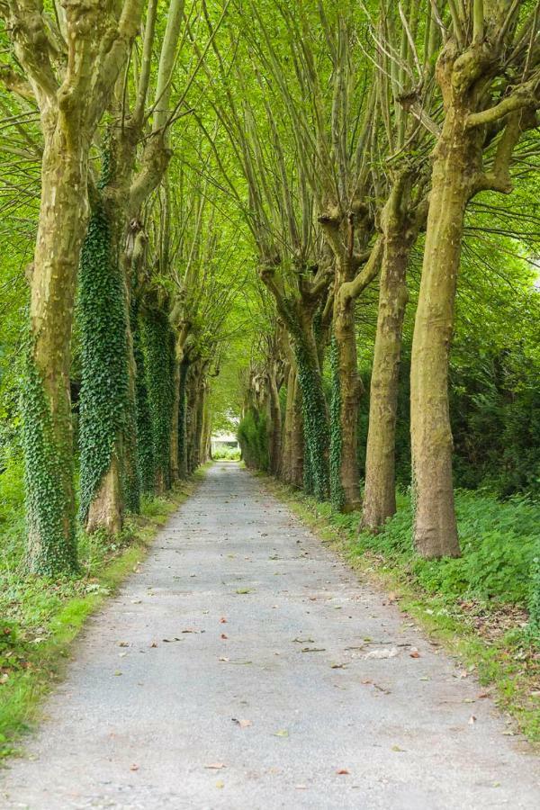 バルビゾン Domaine De Bramefaon Bed & Breakfast エクステリア 写真